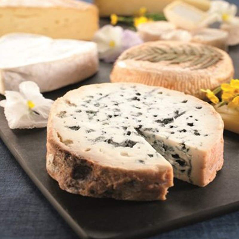 Mutochy 5pcs Cheese draining/ripening mat 8â€™â€™Cheese Drying Mats Cheesemaking equipment Cheese making at home (8'') - Image 5